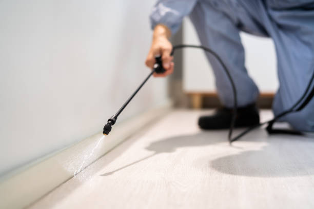 Bed Bug Pre-Treatment Preparation Assessment in Paulden
