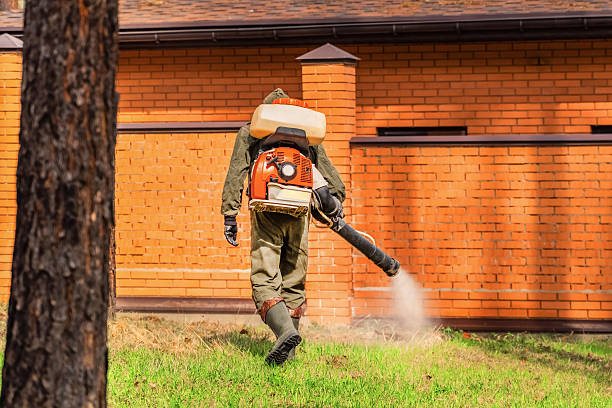 Bed Bug Clearance Verification and Documentation in Paulden